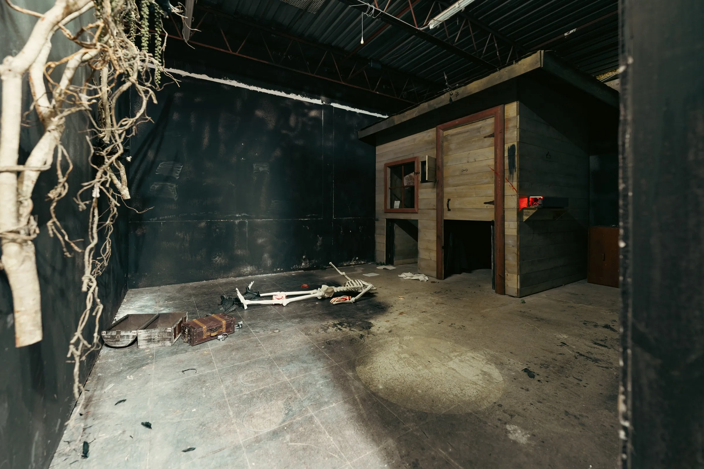 Dark forest set with twisted branches in the Raven Woods escape room